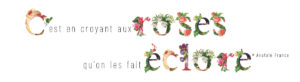 Citation : c'est en croyant aux roses qu'on les fait éclore -